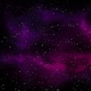 Meet your Posher, Haylee mitchell